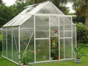 Courtyard greenhouse